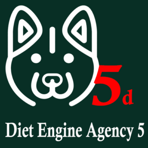 Diet Engine Agency 5 – 5 domini – 12 mesi