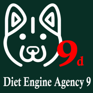 Diet Engine Agency 9 – 9 domini – 12 mesi