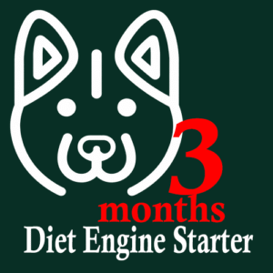 Diet Engine Starter – 1 dominio – 3 mesi
